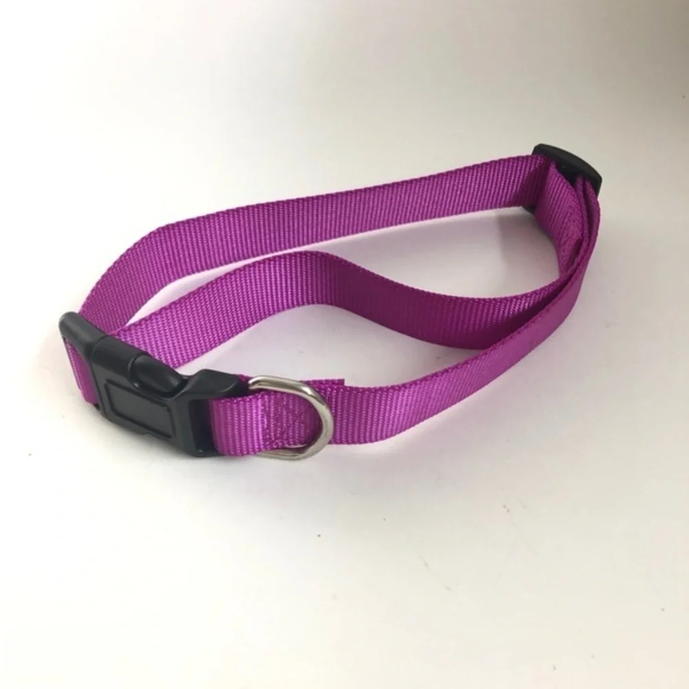 Large dog collar